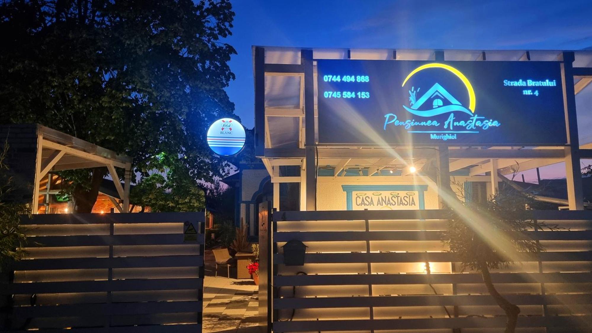 Complex Turistic Casa Anastasia Murighiol Εξωτερικό φωτογραφία