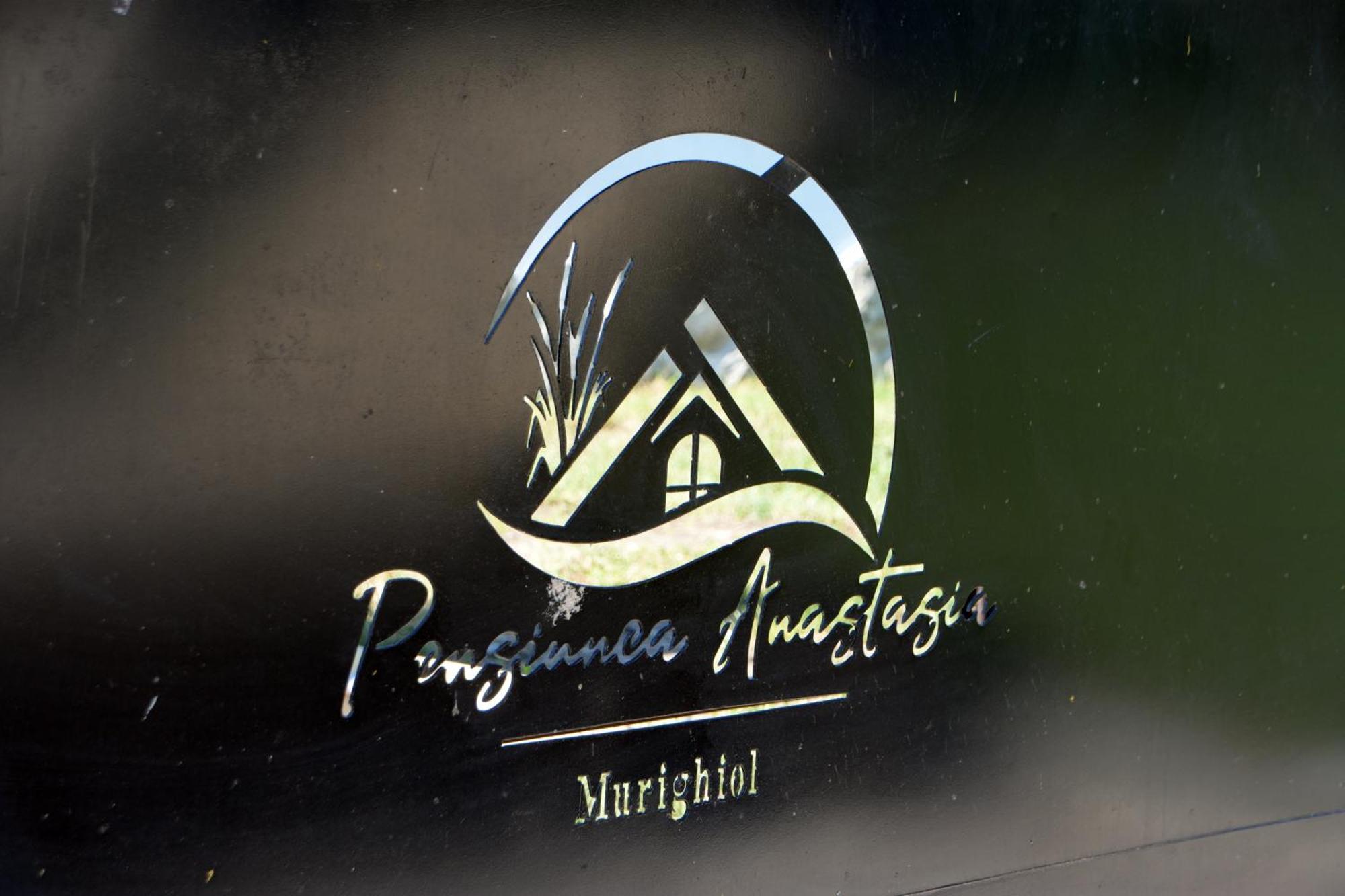 Complex Turistic Casa Anastasia Murighiol Εξωτερικό φωτογραφία